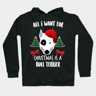 All I Want For Xmas Is A Bull Terrier Ugly Christmas Hoodie